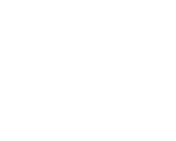 RiseNorth Digital